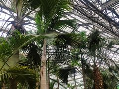 -南山植物园