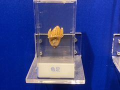 -温州博物馆