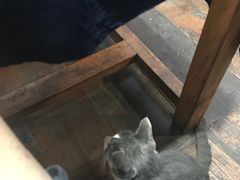 -乡绅本色白家厨坊