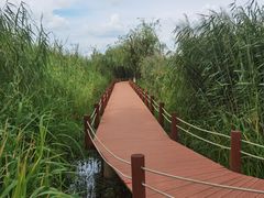 -捞渔河湿地公园