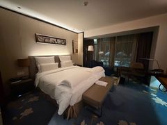 -广州白云机场雅高铂尔曼大酒店