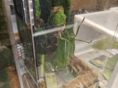 -三旗百汇商品城