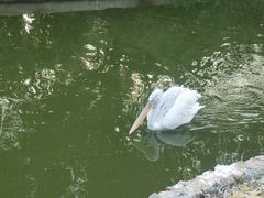 -无锡动物园·太湖欢乐园