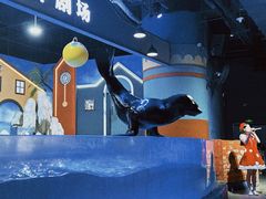 -重庆欢乐海底世界