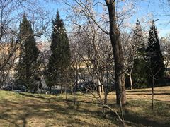-玲珑塔公园