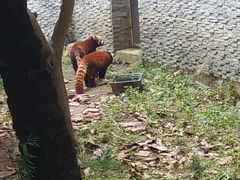 -南宁市动物园