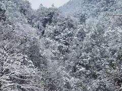 -浙西天池景区