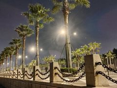 -宝安西湾红树林湿地公园