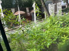 -1Cake壹刻蛋糕(奥体公园味觉艺术馆店)
