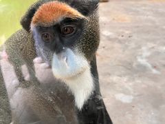 -石家庄市动物园