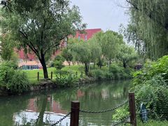 -上海财经大学(国定路校区)