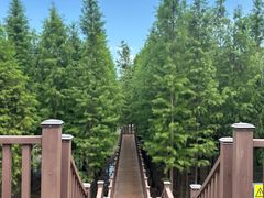 -双山岛