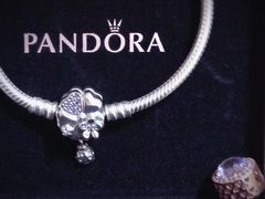 -Pandora潘多拉珠宝(宝山万达广场店)