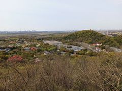 -上海佘山国家森林公园东门地面停车场