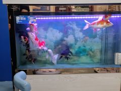 -朋朋修脚(友好广场店)