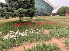 -石家庄市植物园