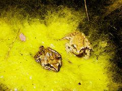 -北京上方山国家森林公园