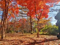 -长春市南湖公园