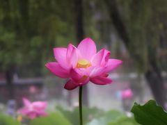 -四川大学(望江校区)
