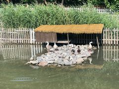 -荷塘味道(水长城店)
