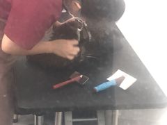 -美联众合24小时·皮肤科·外科·全科诊疗中心(华苑分院)