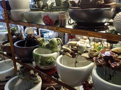 -花鸟鱼虫鲜花绿植市场(玉泉路店)