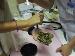 -北京观赏动物医院·24小时大型综合·猫专科·异宠专科
