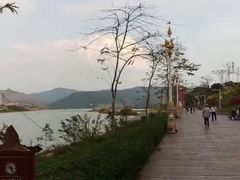 -西双版纳原始森林公园