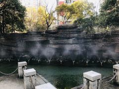 -世纪同乐绿地世纪城二期