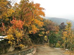 -北京鹫峰国家森林公园