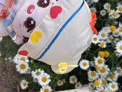 -汉长安城未央宫国家考古遗址公园