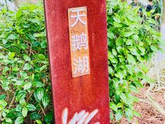 -五缘湾湿地公园