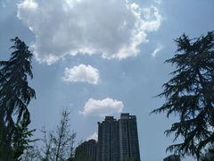 -四川大学(华西校区)