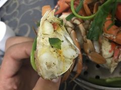 -金螃蟹