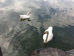 -上海怡沁园度假酒店