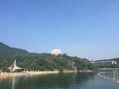 -逸廊大堂吧-下午茶·简餐-千岛湖自由洲际殿