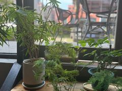 -竹里馆 ·茶食(奥体店)