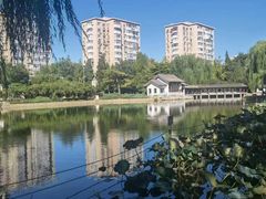 -团结湖公园