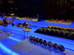 -亚马逊环球美食百汇(新城吾悦广场店)