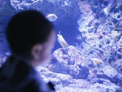 -成都浩海立方海洋公园