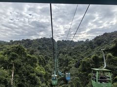 -野象谷景区