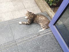 -苏州卫生职业技术学院(石湖校区)