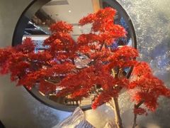 -红辣椒·川菜·火锅(科华路店)