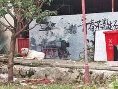 -双新垂钓园