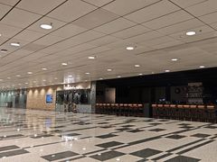 -樟宜机场免税店