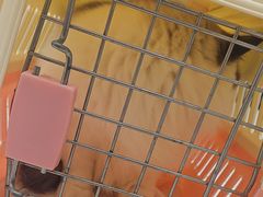 -瑞派康怡24h宠物医院·犬猫医疗中心·微创绝育(瑞景分院)