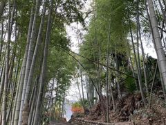 -塔川景区
