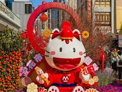 -越秀西湖花市(广州城市广场花卉店)