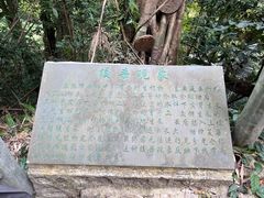 -海南热带雨林国家公园吊罗山景区
