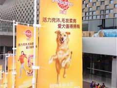 -东浩兰生上海世博展览馆